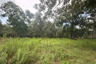 0 County Road 6502 W, Dayton, TX 77535 - Photo 1