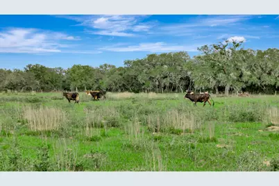 16297B State Highway 111 E, Yoakum, TX 77995 - Photo 16
