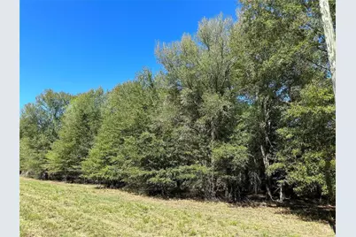 Tbd Somerset Trail Road, Point Blank, TX 77364 - Photo 6