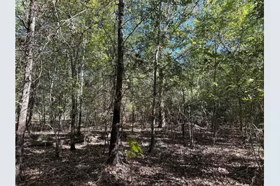 Tbd Somerset Trail Road, Point Blank, TX 77364 - Photo 8