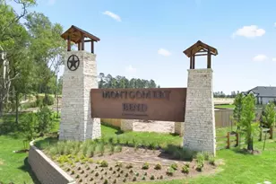 814 High Mesa Ln, Montgomery, TX 77356 - Photo 42