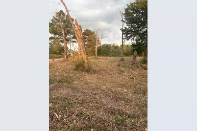 38417 Park View Drive, Hempstead, TX 77445 - Photo 24