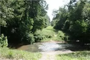 27732 Colapis Dr, Splendora, TX 77372 - Photo 4