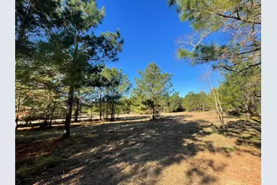 Lot 2 E Fm 942, Livingston, TX 77351 - Photo 16