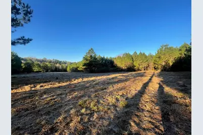Lot 2 E Fm 942, Livingston, TX 77351 - Photo 14