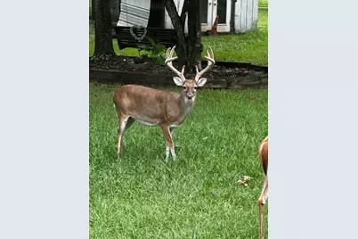 9322 Sendera Drive, Magnolia, TX 77354 - Photo 50