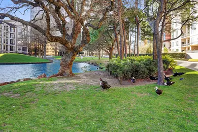 5005 Hidalgo Street #807, Houston, TX 77056 - Photo 20