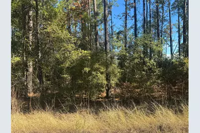 003 County Road 219, Brookeland, TX 75931 - Photo 6