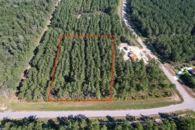 15336 Red Hawk Road, Willis, TX 77378 - Photo 1