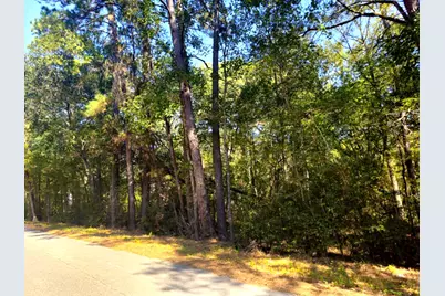 Tbd Royal Springs Road, Conroe, TX 77303 - Photo 4