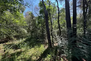 7795-00-10300 Assessor's Parcel Number 7795-00-10300, New Caney, TX 77357 - Photo 2