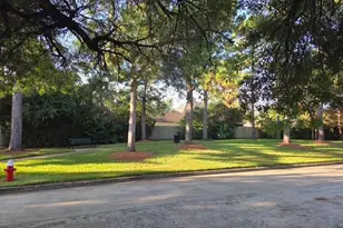 4331 Evergreen Elm Ct Ct, Houston, TX 77059 - Photo 2