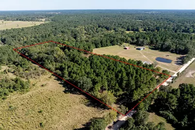 Tbd County Road 4090, Lovelady, TX 75851 - Photo 6