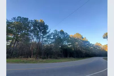 7.827+/- Acres Meador Road, Conroe, TX 77303 - Photo 6