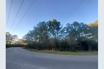 7.827+/- Acres Meador Road, Conroe, TX 77303 - Photo 4