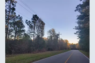 7.827+/- Acres Meador Road, Conroe, TX 77303 - Photo 4