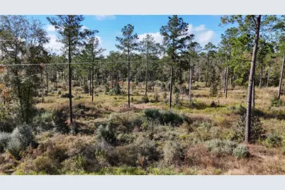 Tbd 7 Reveille Road, Livingston, TX 77351 - Photo 2