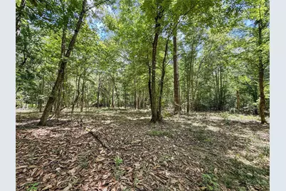 Tbd Hwy 69 N, Woodville, TX 75979 - Photo 8