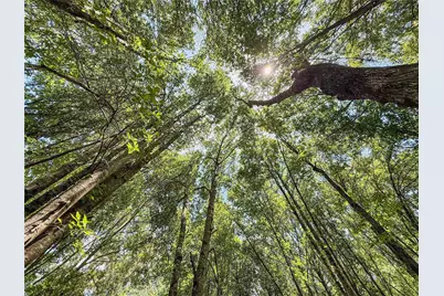 Tbd Hwy 69 N, Woodville, TX 75979 - Photo 16