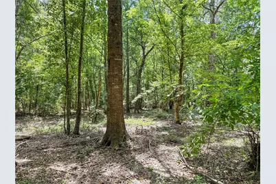 Tbd Hwy 69 N, Woodville, TX 75979 - Photo 18