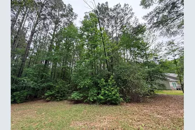 Tbd Forse Drive, Woodville, TX 75979 - Photo 2