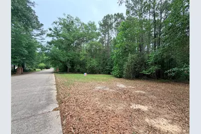 Tbd Forse Drive, Woodville, TX 75979 - Photo 8