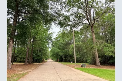 Tbd Forse Drive, Woodville, TX 75979 - Photo 10