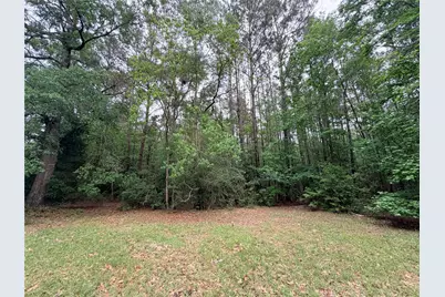 Tbd Forse Drive, Woodville, TX 75979 - Photo 1