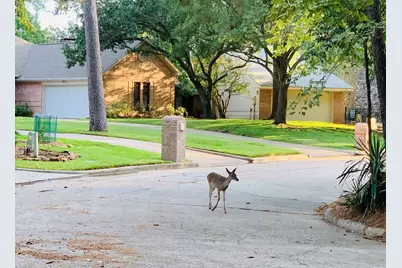 3007 Willowbend Road, Montgomery, TX 77356 - Photo 42