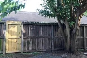 9775 Pine Lake Dr, Houston, TX 77055 - Photo 14