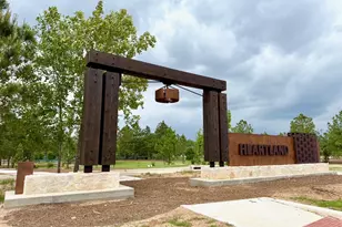 26790 Frontier Trace Drive, Montgomery, TX 77316 - Photo 26