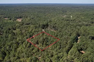 20 Morris Creek Rd, Coldspring, TX 77331 - Photo 26
