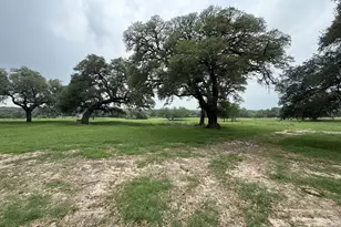 0000 Farm To Market 2238, Schulenburg, TX 78956 - Photo 1