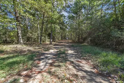 695 Piney Trail, Livingston, TX 77351 - Photo 2
