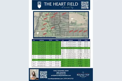 102 Hartfield Meadow Ln - Tract 14, Round Top, TX 78954 - Photo 12