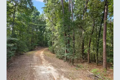 0 White Oak Drive, Etoile, TX 75944 - Photo 2