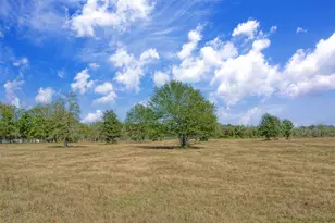 Lot 12 County Road 229, Bedias, TX 77831 - Photo 1