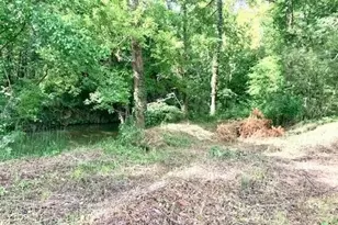 1001 County Rd 4110, Woodville, TX 75979 - Photo 4