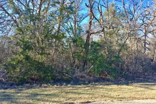 320 Alvina Ulich St, Somerville, TX 77879 - Photo 12