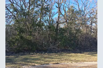 320 Alvina Ulich Street, Somerville, TX 77879 - Photo 10