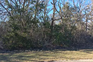 320 Alvina Ulich St, Somerville, TX 77879 - Photo 10