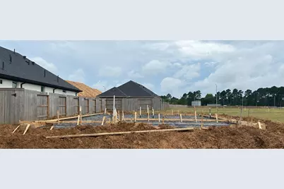 20938 Carob Tree Lane, Tomball, TX 77377 - Photo 2