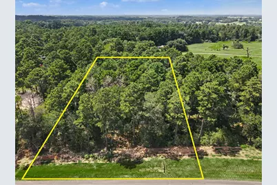 9726 Oakland Park Boulevard, Plantersville, TX 77363 - Photo 2