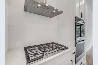 225 Willard Street, Houston, TX 77006 - Photo 16
