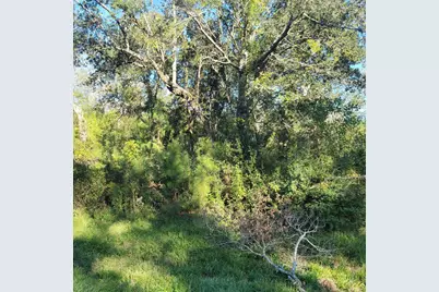 000 Fm-562, Anahuac, TX 77514 - Photo 4