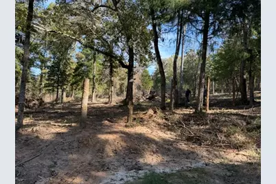 4522 County Road 278, Buffalo, TX 75831 - Photo 12