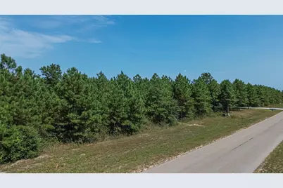 11997 High Branch Way, Willis, TX 77378 - Photo 2