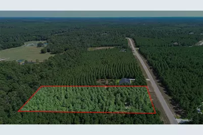 11997 High Branch Way, Willis, TX 77378 - Photo 1