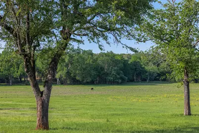3004 County Road 310, Caldwell, TX 77836 - Photo 2
