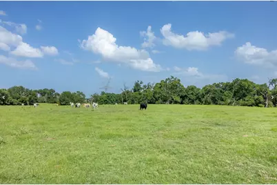 6388 Red Rock Road, Franklin, TX 77856 - Photo 2